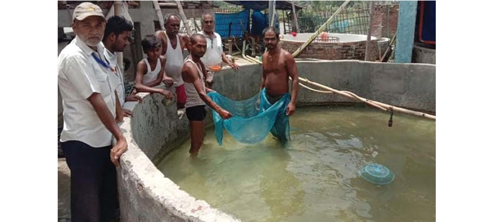 मत्स्य ह्याचरीबाट मनग्य आम्दानी