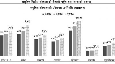 मूल मर्मविपरीत लुघवित्तहरूको शाखा विस्तार