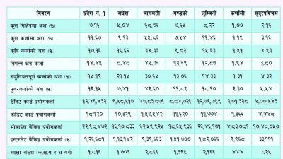 बागमती प्रदेशमा मोबाइल बैंकिङ प्रयोगकर्ताको संख्या ६२ लाख ५९ हजार