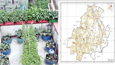 तरकारीको बढ्दो आयात कम गर्दैै हरियाली प्रवर्द्धन गर्ने योजना