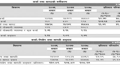 लघुवित्तमार्फत कर्जा लिने बढे