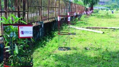 ग्लोबल आईएमई बैंक र त्रिभुवन विश्वविद्यालय आयुर्वेद क्याम्पसको सहकार्यमा वृक्षरोपण