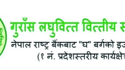 गुराँस लघुवित्तको पहिलो त्रैमासिक नाफा ६० लाख २२ हजार रुपैयाँले ऋणात्मक