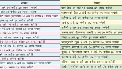 ७ महिनामा आयातनिर्यातसँगै व्यापारघाटामा समेत कमी